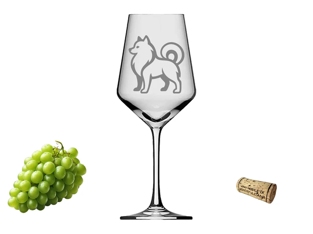 Weinglas Spitz Elegantes Design langlebiges spülmaschinenfestes Glas 350 ml